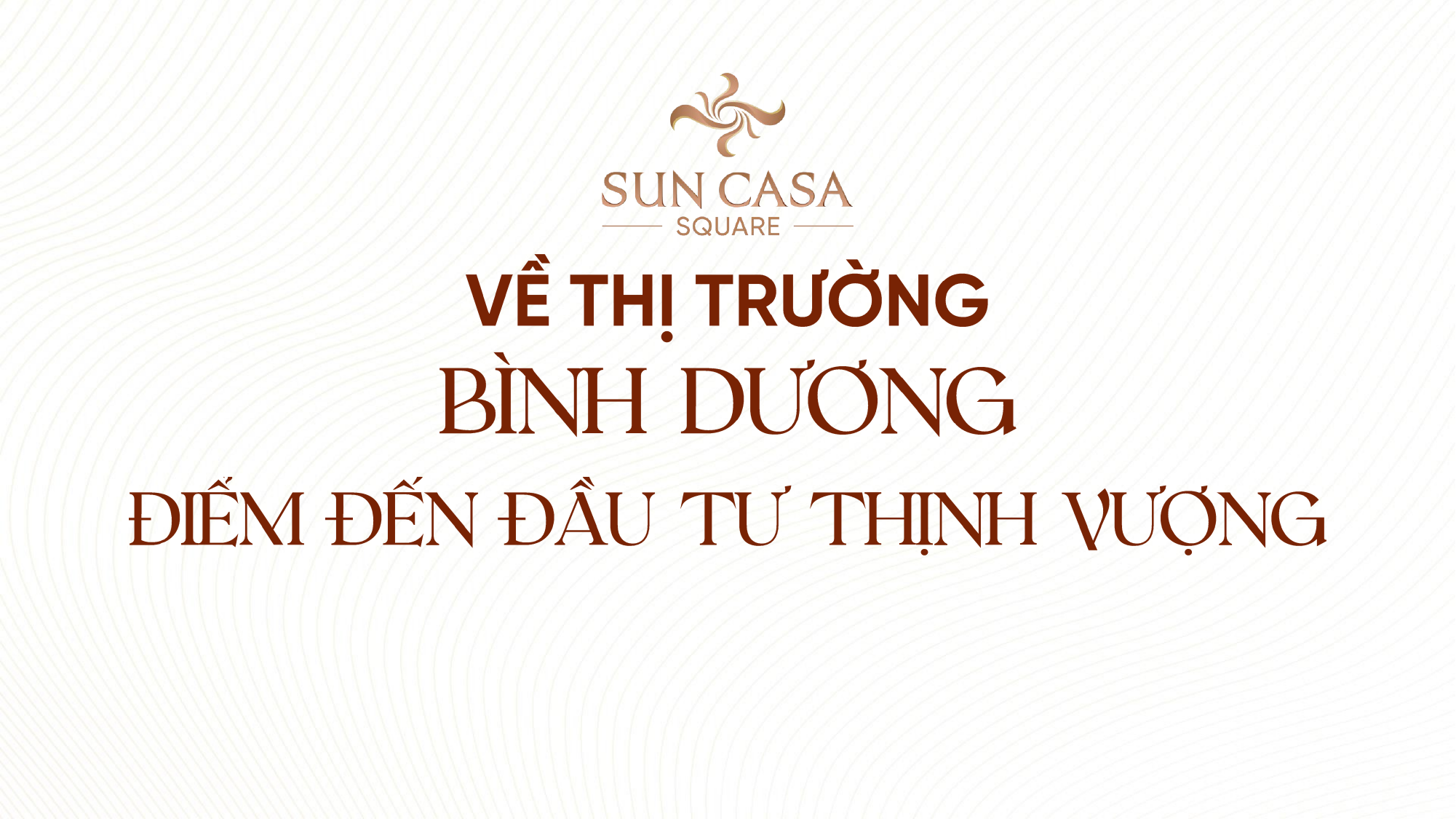 Dấu ấn VSIP - Slide 12